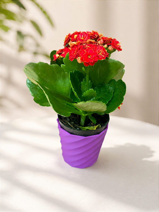 Vasinho de Flor