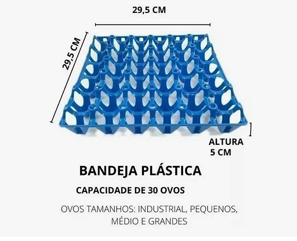 CARTELA DE OVOS COR: Azul