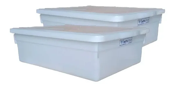 Kit 2 Caixas Pratica Organizadora Com Tampa