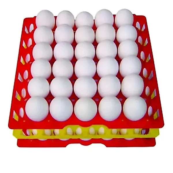 Porta Ovo Cartela Plástica Para 30 ovos Bandeja Higiênica
