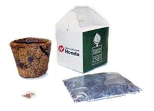 S103 - Kit plantio futuro