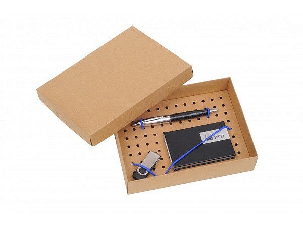 D227 - kit com caneta , pendrive e porta cartão.