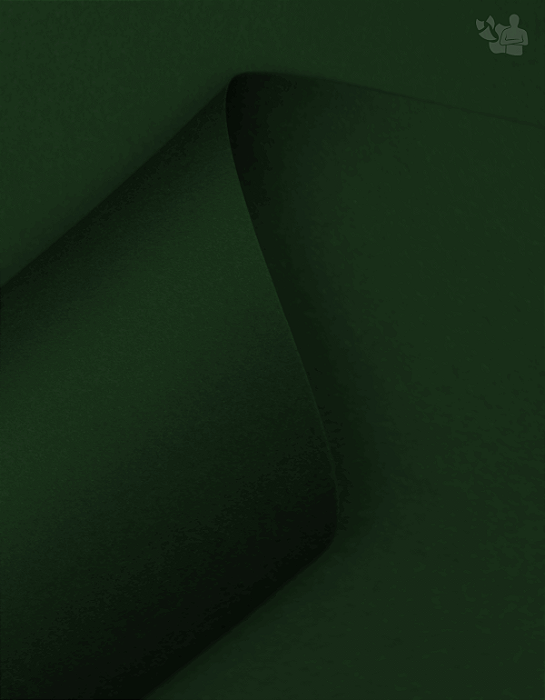 Papel Color Plus - Santiago - Verde Escuro - 180g