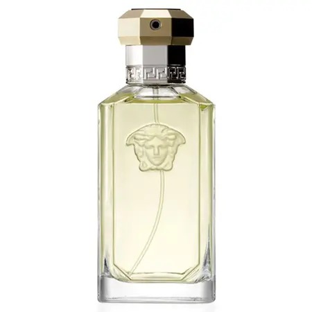 Versace The Dreamer Eau de Toilette Masculino