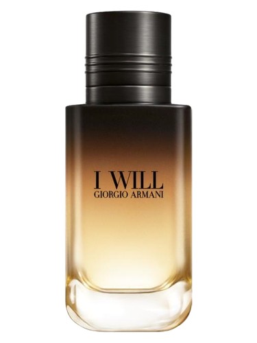 Giorgio Armani I Will Eau de Parfum Masculino