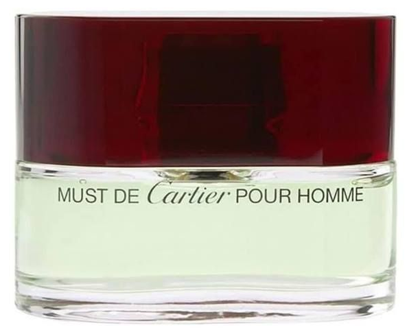 Must de Cartier Pour Homme Eau de Toilette Masculino