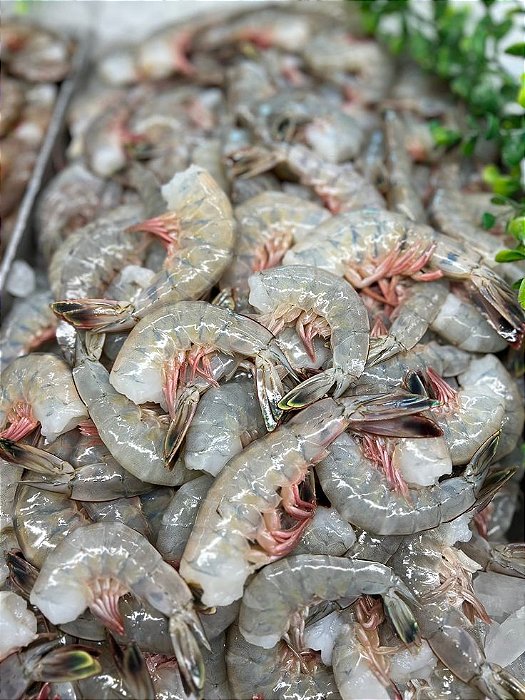 CAMARÃO CINZA S/CABEÇA 61/70 CONG. (PCT-5kg) 59,97/KG