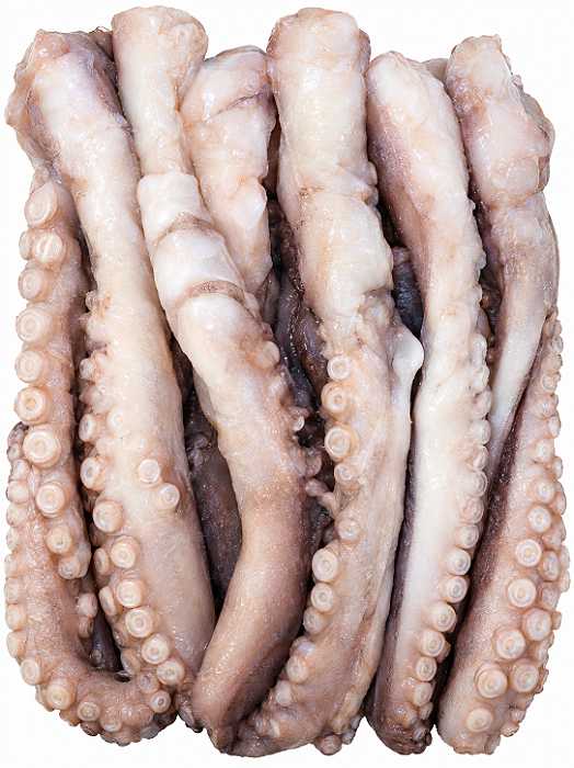 TENTACULO DE POLVO ( G ) CONG. - kg 136,90 -cx-10kg