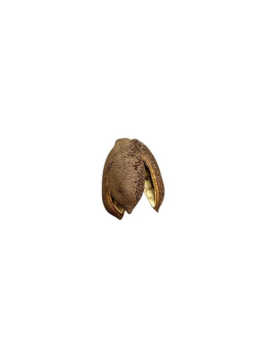 Fava De Obara- Unidade