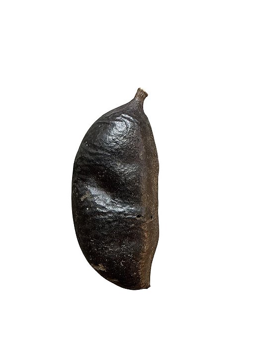 Fava De Ogum Pau Ferro- Unidade