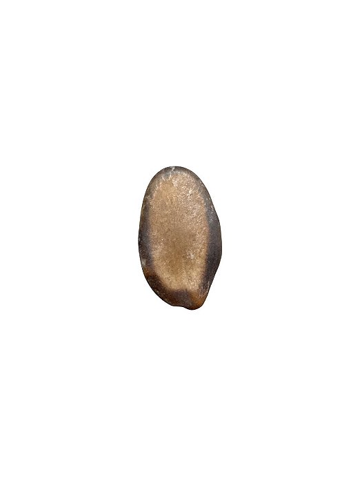 Fava Divina- Unidade
