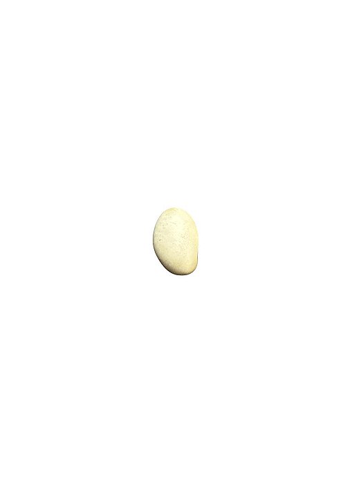 Fava De Oxala- Unidade