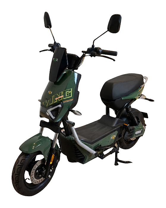 Scooter Elétrica WD-02