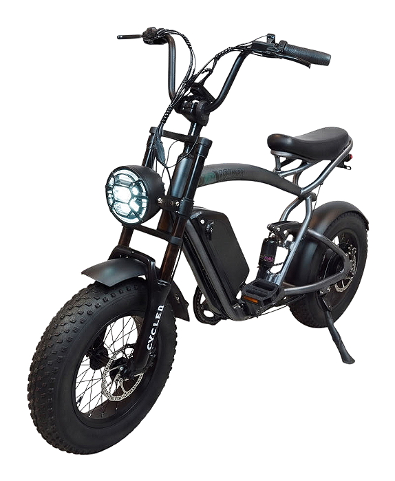 Bicicleta Elétrica Fat Bike DL-02