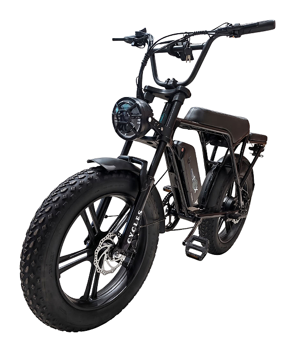 Bicicleta Elétrica Fat Bike DL-01