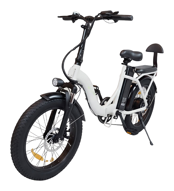 Bicicleta Elétrica Cargo YL-06