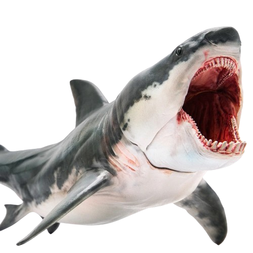 Megalodon Patton - Figura Colecionável PNSO 015