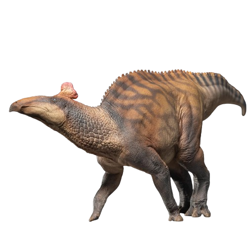 Figure Edmontosaurus Zabad - The Edmontosaurus 080 Original PNSO