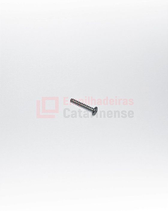 Parafuso Phillips Inox M3 20mm
