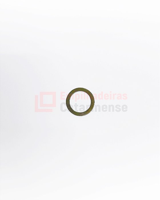 Arruela para Paleteira Manual