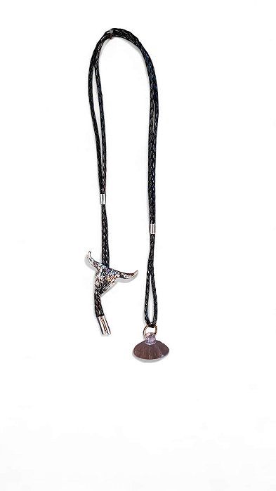 PORTA CHAPEU CARRO COUNTRY LONGHORN