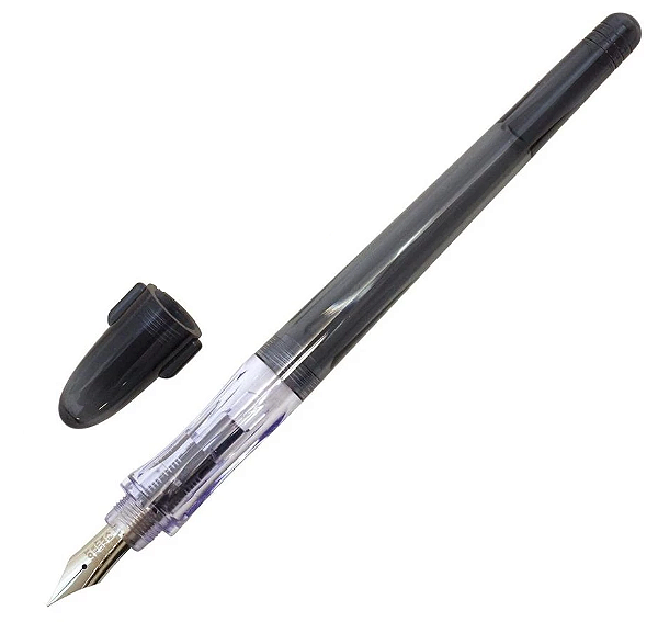Caneta Tinteiro Pilot Penmanship
