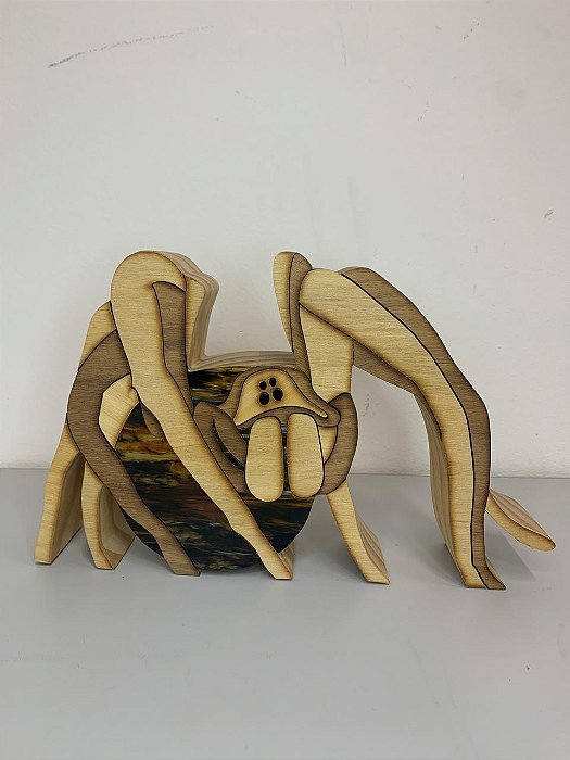 Aranha Caranguejeira | 15 cm | Patrícia Maranhão | RS
