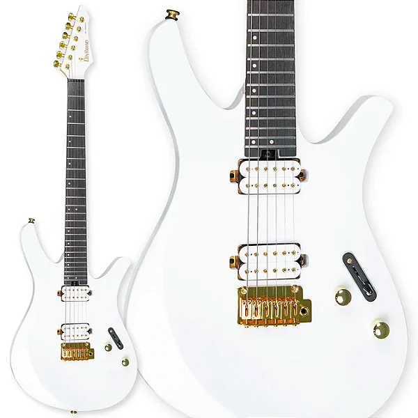 GUITARRA DIVITONE DSG-10 ARCTIC ORE