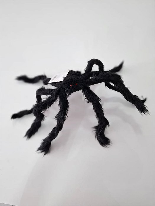 ARANHA PELUDA PEQUENA