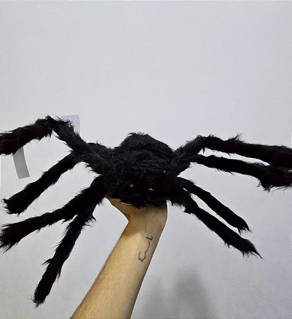 ARANHA PELUDA GRANDE