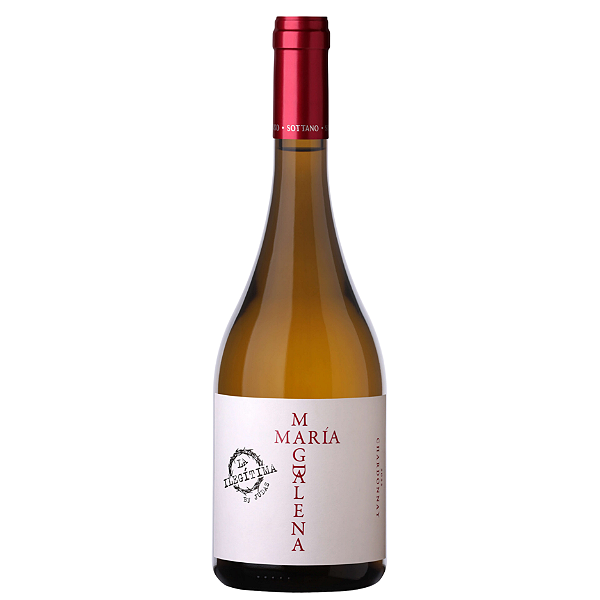 Sottano Maria Madalena Chardonnay By Judas 2023