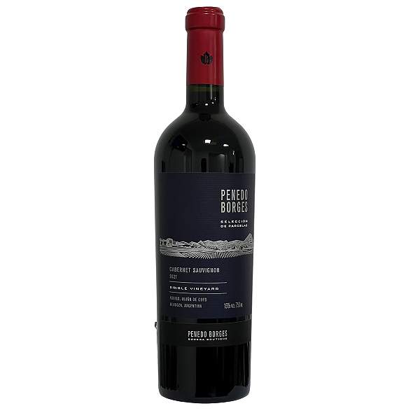 Penedo Borges Seleccion de Parcelas Cabernet Sauvignon 2021