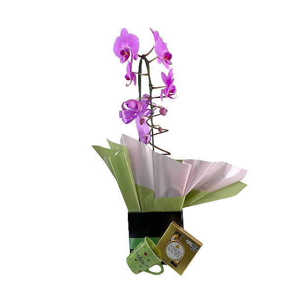 Orquídea Lilás 1 Haste com Caneca e Ferrero Rocher