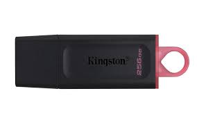 Pendrive Kingston Exodia 256GB USB 3.2 - Preto (DTX/256GB)