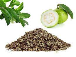 CHA GOIABEIRA 30G FOLHAS DESIDRATADAS  PSIDIUM GUAJAVA