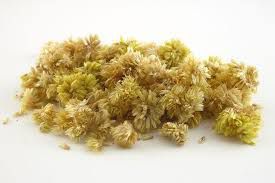 CHA MACELA FLORES 100G ACHYROCLINE SATUREIOIDES