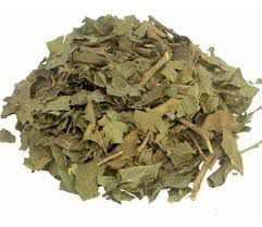 CHA PORANGABA BUGRE 100G CORDIA SALICIFOLIA CHAM