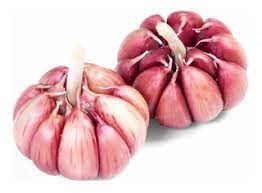 ALHO FRESCO ROXO N06 PELADO NACIONAL EXTRA 100G