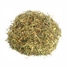 CHA QUEBRA PEDRA PHYLLANTHUS NIRURI 100G