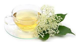 CHA SABUGUEIRO 100G SAMBUCUS NIGRA