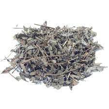 CHA ALEVANTE LEVANTE 100G MENTHA CITRATA