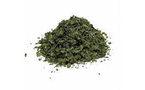 COENTRO EM FOLHAS CORIANDRUM SATIVUM 100G