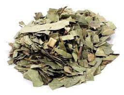 CHA EUCALIPTO GLOBULUS 100G EUCALYPTUS GLOBULUS LABILL