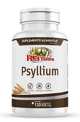 PSYLLIUM 120 CAPSULAS 500MG REI TERRA