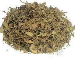 CHA JAVA 100G ORTHOSIPHON STAMINEUS