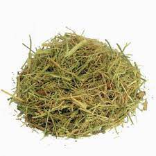 CHA MELAO DE SAO CAETANO MOMORDICA CHARANTIA 100G