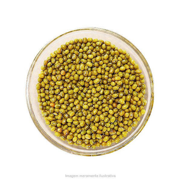 FEIJAO MOYASHI GRANEL 100G