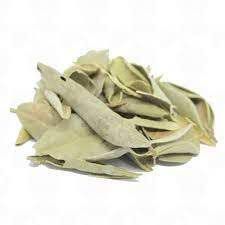 CHA BOLDO DO CHILE FOLHAS DESIDRATADAS 100G PEUMUS BOLDUS