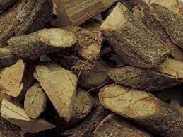 CHA CIPO CRAVO CASCA 30G TYNANTHUS FASCICULATUS