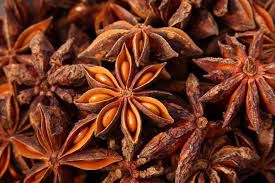 ANIS ANIZ ESTRELADO 100G ILLICIUM VERUM